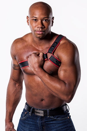 TCL Custom Leather Harnesses