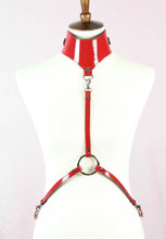 Load image into Gallery viewer, Posture Collar Harness
