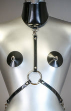 Load image into Gallery viewer, Posture Collar Harness