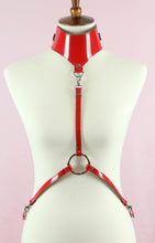 Load image into Gallery viewer, Posture Collar Harness