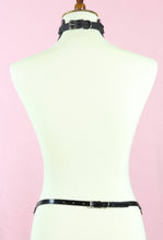 Load image into Gallery viewer, Posture Collar Harness