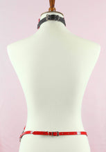 Load image into Gallery viewer, Posture Collar Harness