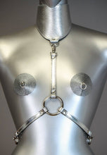 Load image into Gallery viewer, Posture Collar Harness