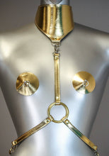 Load image into Gallery viewer, Posture Collar Harness