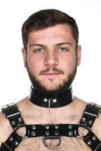 Load image into Gallery viewer, Heavy Rubber Bulldog Harness - Vilain Garçon