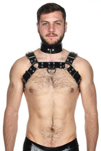 Load image into Gallery viewer, Heavy Rubber Bulldog Harness - Vilain Garçon