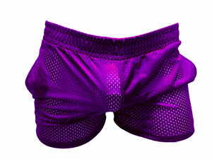 Sport Mesh Elastic Shorts