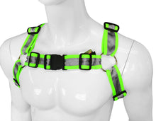 Load image into Gallery viewer, Buckle Harness - Fabric