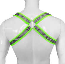 Load image into Gallery viewer, Buckle Harness - Fabric