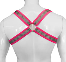 Load image into Gallery viewer, Buckle Harness - Fabric