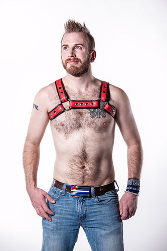 Double Fold Leather Bulldog Harness