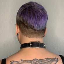 Load image into Gallery viewer, Studded Collar